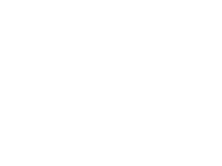 TPN Logo